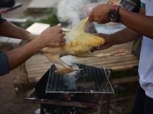 Paano mag-pluck ng isang pato sa bahay