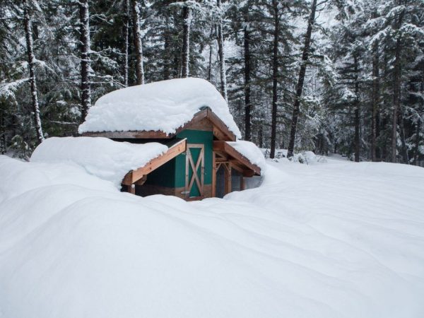 Comment isoler un poulailler pour l'hiver de vos propres mains