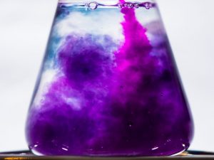 Pagproseso ng mga sibuyas na may potassium permanganate bago itanim