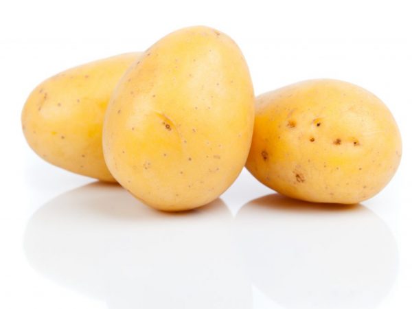 Paglalarawan ng Juvel patatas