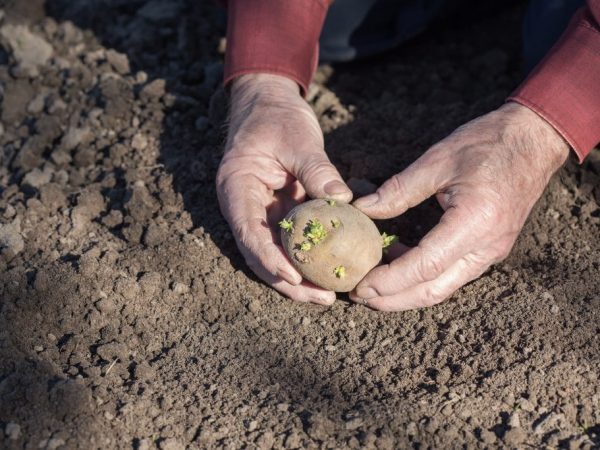 A szabályok betartása elősegíti a kiváló betakarítást.