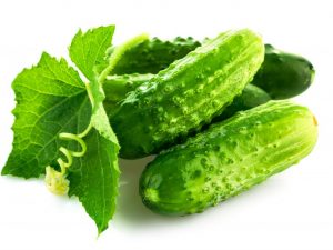 Paglalarawan ng mga Dutch cucumber