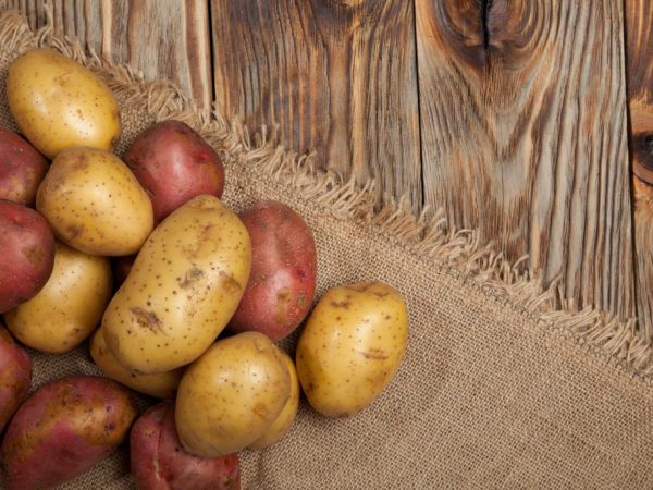 Tambour fournira une bonne qualité de conservation des légumes