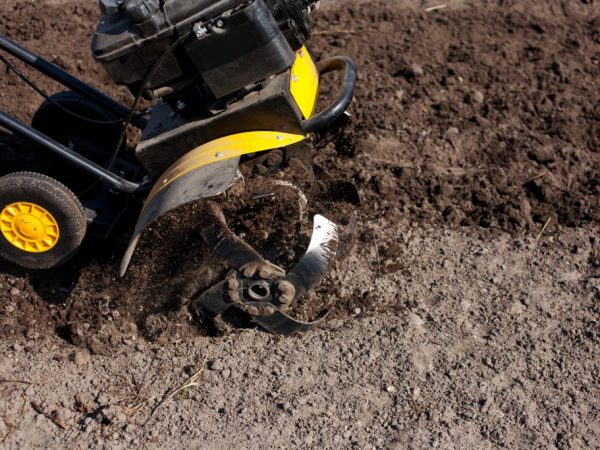 Choisir un planteur de pommes de terre pour un tracteur à conducteur marchant