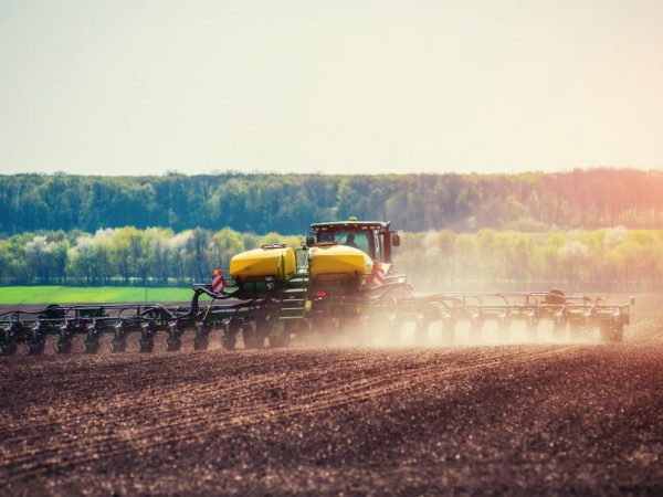 La technologie moderne aidera à planter des pommes de terre