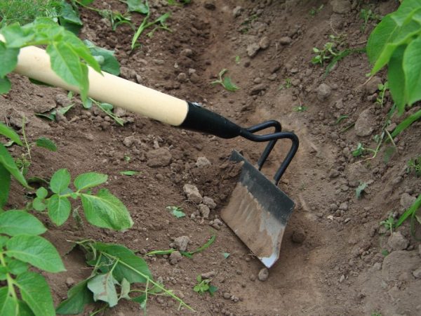 Méthodes de buttage des pommes de terre