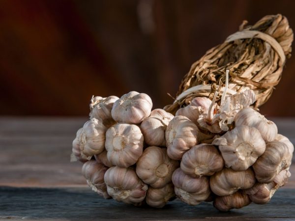 Iba't-ibang bawang para sa rehiyon ng Moscow