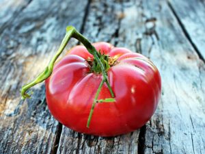 Description de l'éléphant tomate framboise