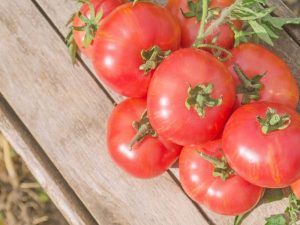 Caractéristiques de la variété de tomate Mikado Pink