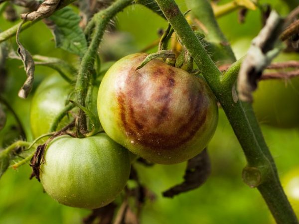 Minél előbb meg kell szabadulnia a késői gyulladástól