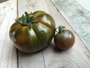 Paglalarawan ng Tomato Striped Chocolate