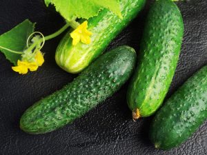 Mga Katangian ng Cedric cucumber