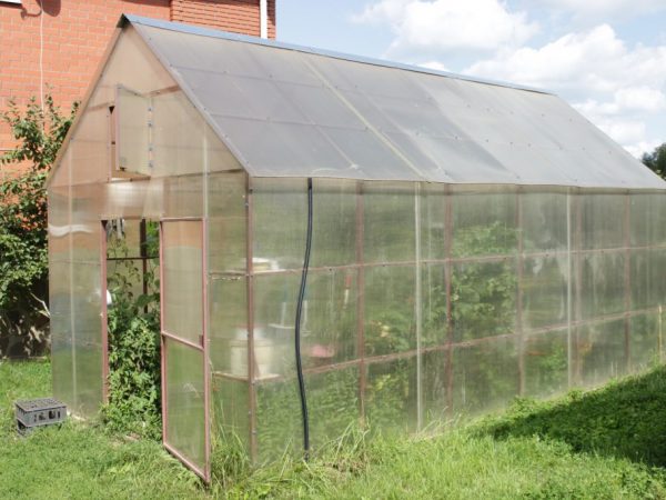 Le polycarbonate peut recouvrir le cadre en bois