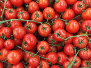 Caractéristiques de la variété de tomate rouge cerise