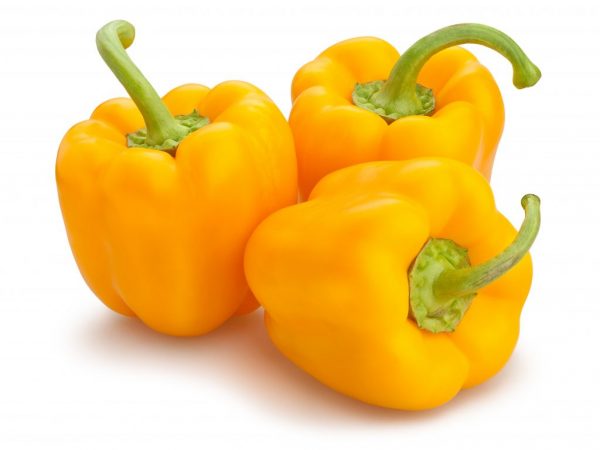 Pepper Golden Miracle