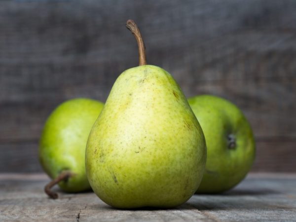 Az Augustowskaya Rosa körtefajta jellemzői