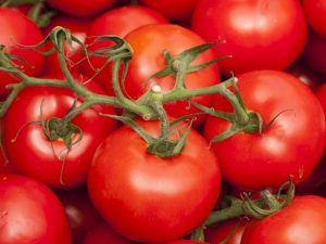 Caractéristiques des variétés de tomates Belle F1