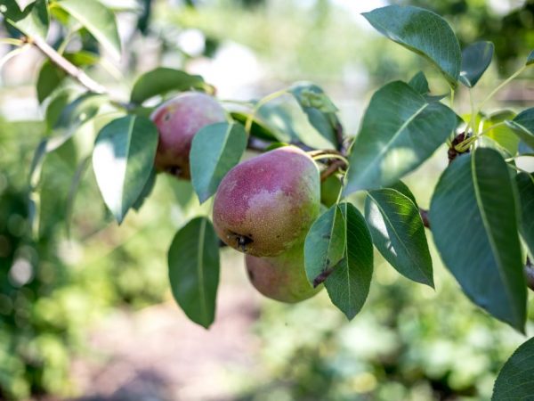 A felső öltözködés segít megbirkózni a problémával