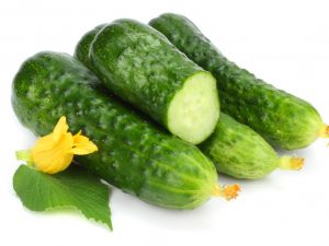 Paglalarawan ng cucumber Dirigent