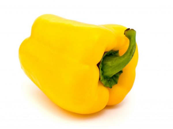 Bell pepper