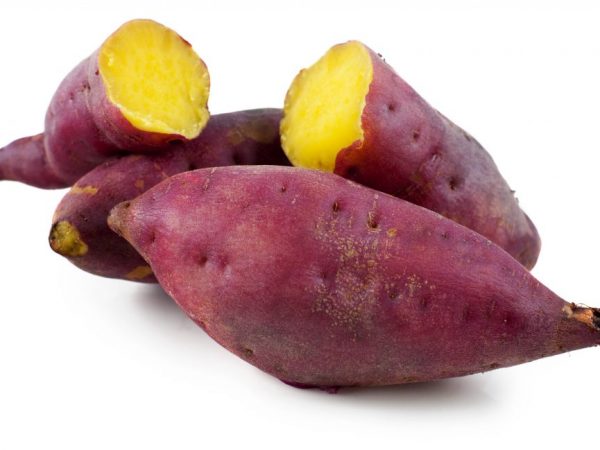 Gustung-gusto ng patatas ang araw