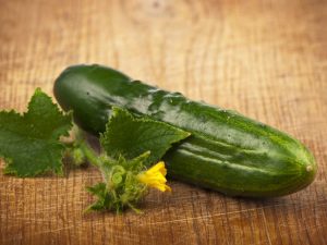 Mga uri ng pipino para sa isang greenhouse sa rehiyon ng Moscow