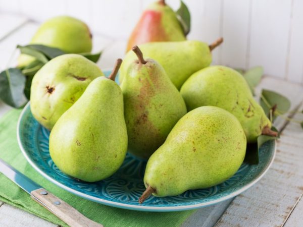 Paglalarawan pear noyabrskaya