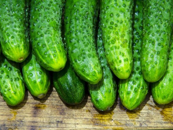 Causes of the Bitter Taste of Cucumbers