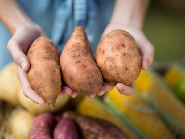 L'effet des pommes de terre sur le corps humain