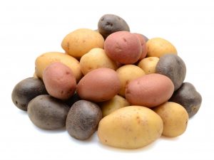 Ang mga tanyag na varieties ng patatas na hindi kinakain ng beetle ng patatas ng Colorado