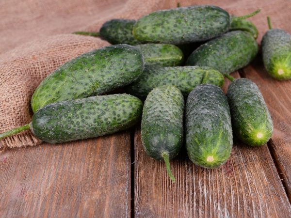 Ang slavic cucumber ay matutuwa sa iyo sa panlasa