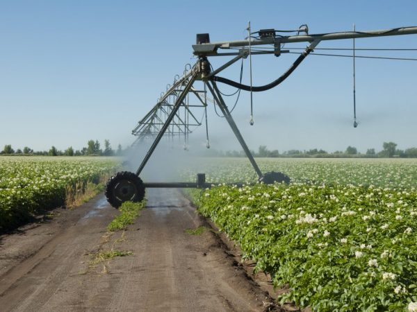 Watering machine