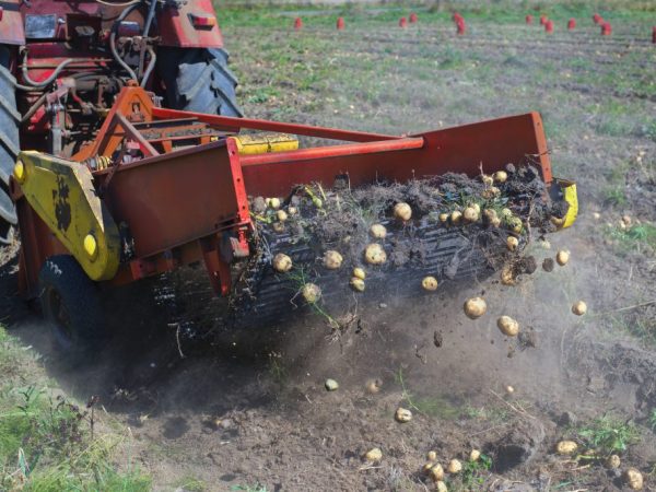 Types de tracteurs pour le traitement des pommes de terre