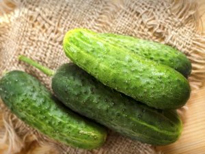 Mga katangian ng pagkakaiba-iba ng Tumi cucumber