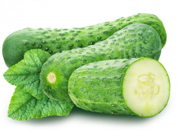 Characteristics of the variety of cucumbers Vyaznikovsky 37