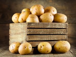 Règles pour faire une boîte pour les pommes de terre