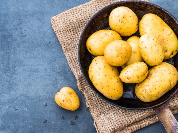 Caractéristiques des pommes de terre Zekura