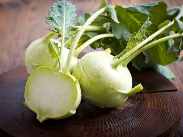 A Kohlrabi káposzta előnyei és ártalmai