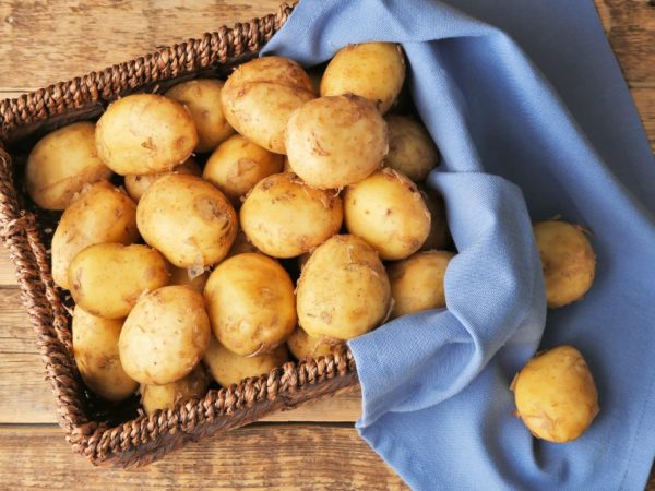 Nagbubunga ng mga varieties ng patatas para sa gitnang Russia