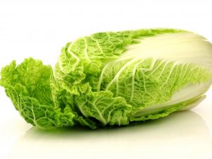 Mga panuntunan para sa lumalaking Chinese cabbage