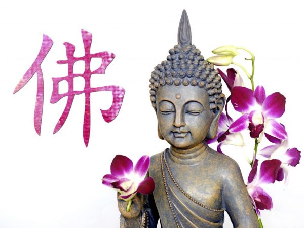 La signification de la fleur d'orchidée dans le Feng Shui