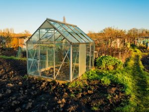 Construire une serre pour les tomates