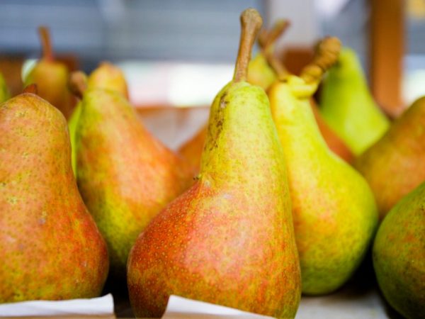 Paglalarawan ng Valentine pear