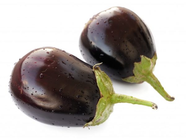 Aubergine noire beau