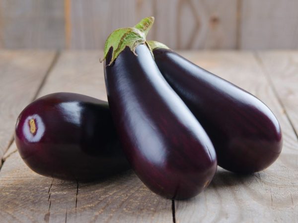 Lahat tungkol sa Vera eggplants