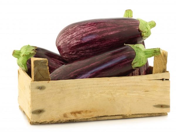 Pag-iimbak ng mga sariwang eggplants