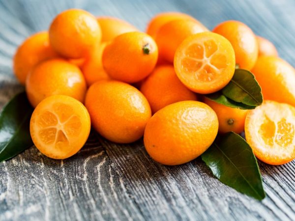 Citrus kumquat