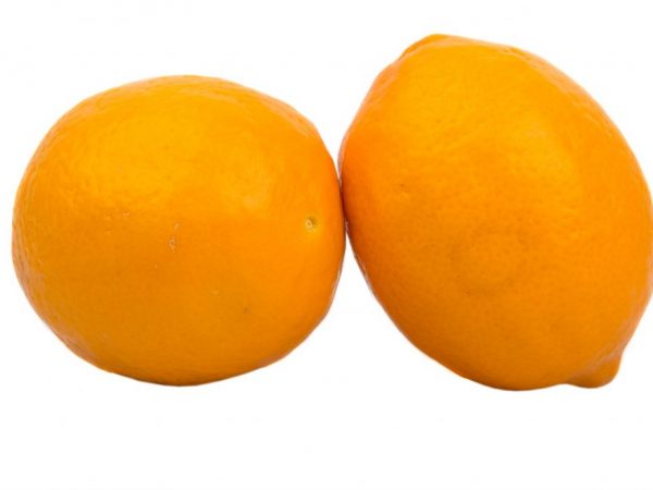 Ang orange na lemon ni Meyer