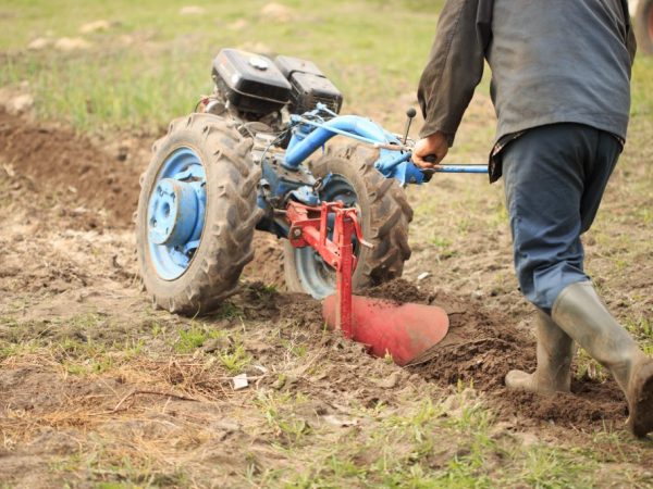 Ang pag-landing sa isang lakad na nasa likod ng traktor ay karagdagan na nagpapaluwag sa lupa