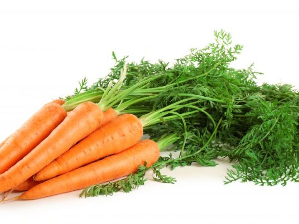 Mga varieties ng carrot para sa Siberia